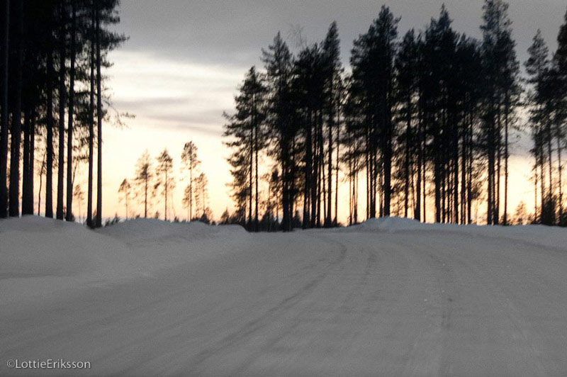 En iskall februaridag när solen plötsligt tittar fram. Någonstans i Norrbotten
