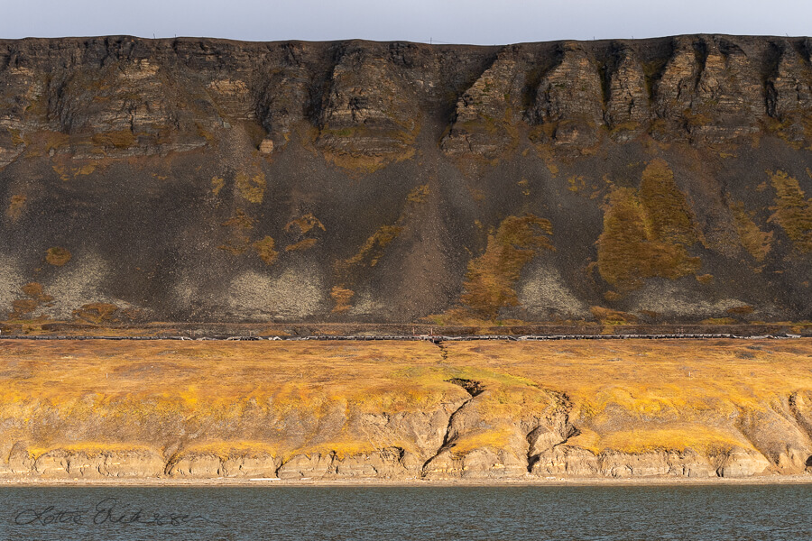 Svalbard_seaview_flat_mountain_mosscovered_shore_coalmining_remnants900