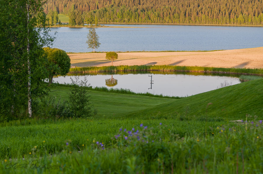 Sweden_Norrbotten_hills_green_field_trees_pond_lake_forest900