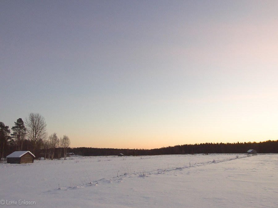 Landscape_field_winter