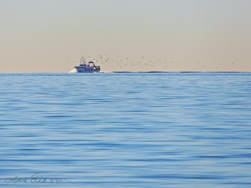 Mediterranean_blue_fishingboat_birdtrail_horizon