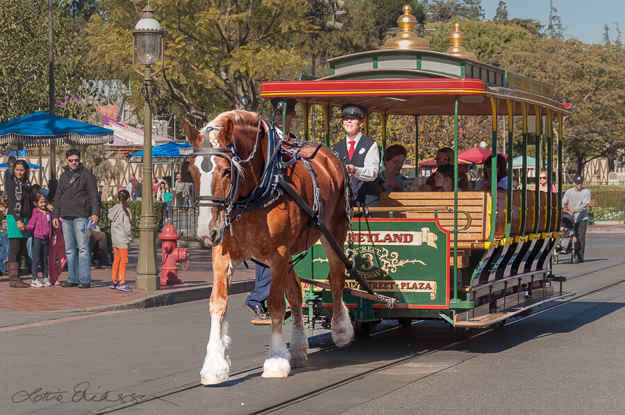 California_Disneyland_working_horse_carriage900