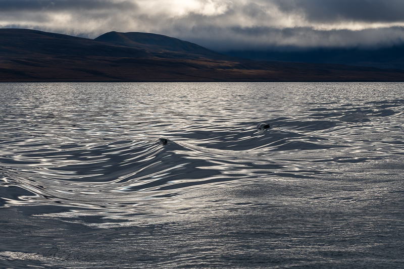 Isfjorden_dramatic_clouds_waves_baremountains