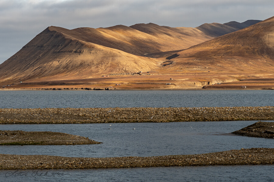 Svalbard_Adventsfjorden_mountains_cabins_foreground_birds_embanksments900