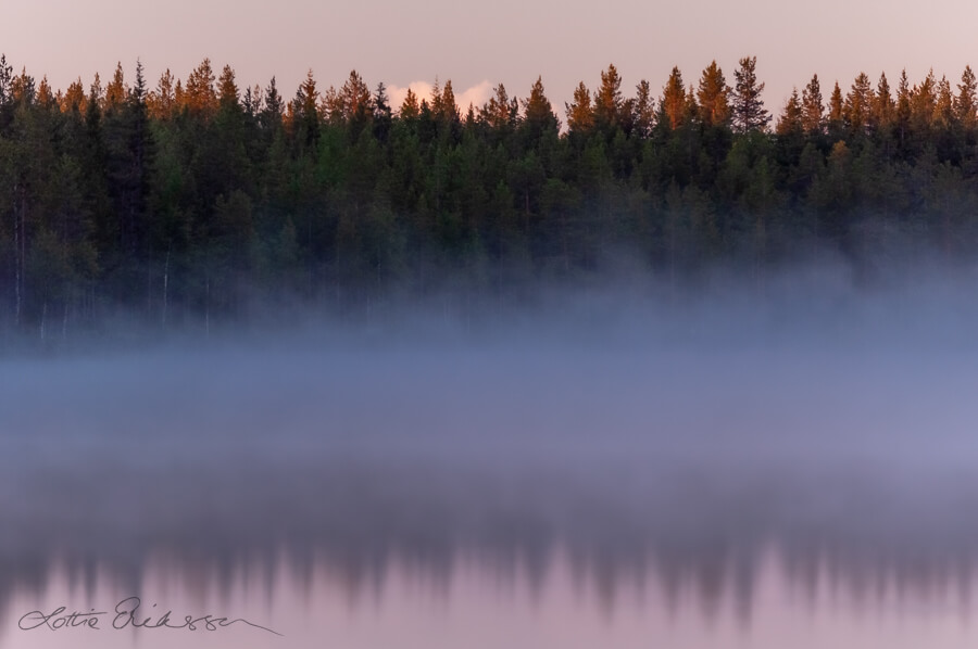 SE_Norrbotten_dawn_lake_fog_forest_vague_reflections900