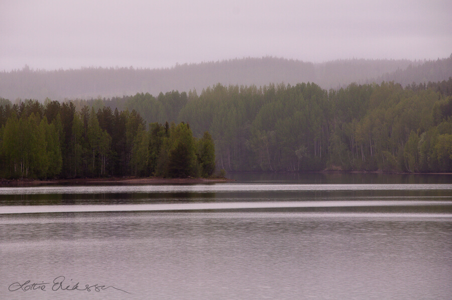 SE_Norrbotten_lake_foggy_overcast_forests_island900