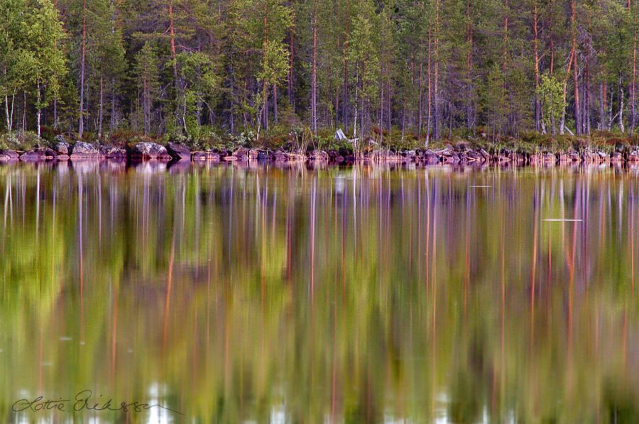 SE_Norrbotten_lake_forest_reflections900