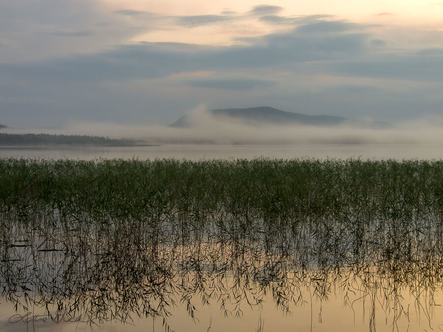 SE_Norrbotten_lake_spring_reeds_reflections_fog_clouds_mountains_sky900