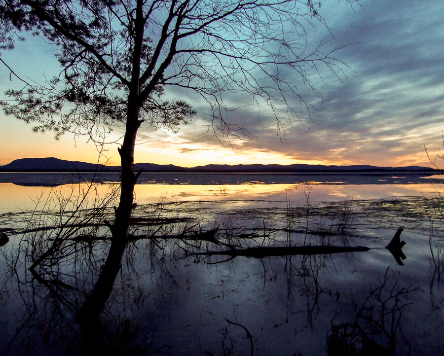 SE_Norrbotten_lake_spring_sunset_flooded_tree_reeds_floating_mountains900