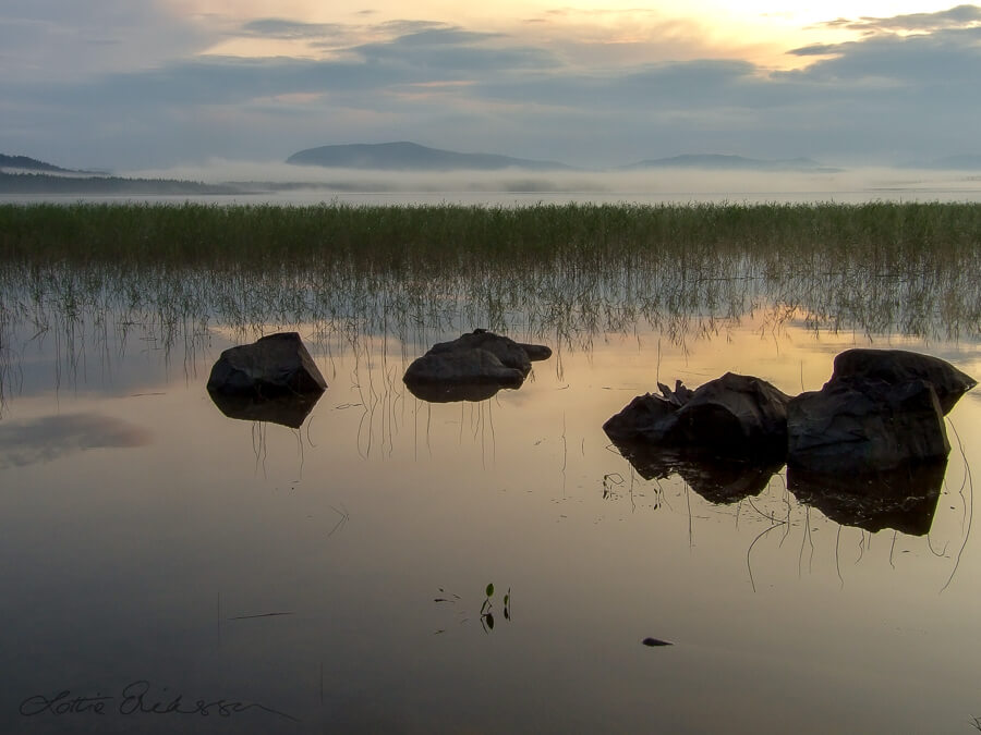 SE_Norrbotten_lake_spring_sunset_reflections_fog_reeds_rocks900