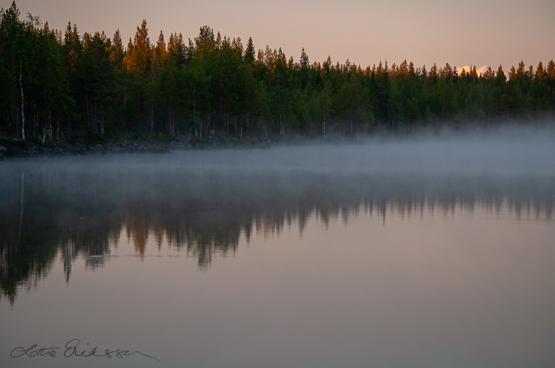 SE_lake_dawn_fog_forest_reflection