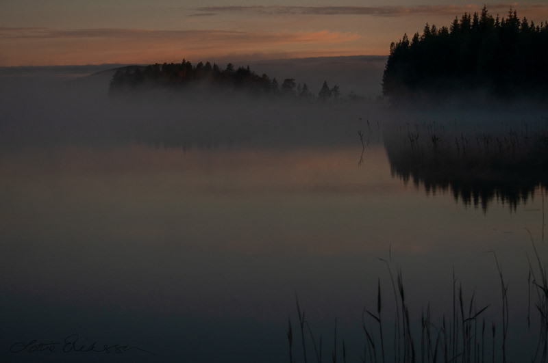 SE_lake_dusk_fog_reeds_islands_pinksky