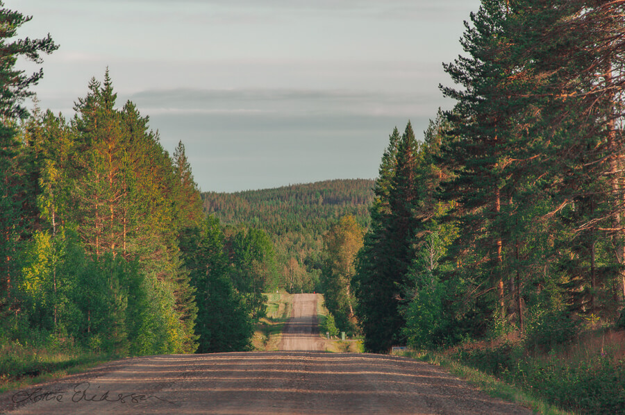 SE_Vsterbotten_countryroad_coniferous_forests_mountain_summer900