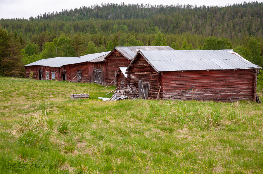 SE_old_barns_upanddown_mountain_forest_summer900