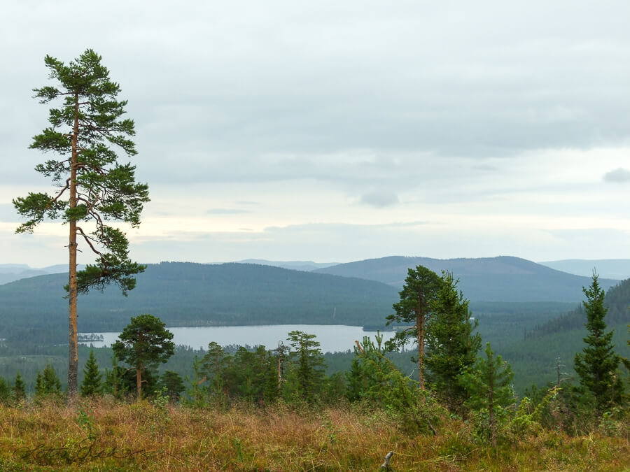 SE_Norrbotten_forefround_pinetree_valley_lake_mountains_forests_overcast900