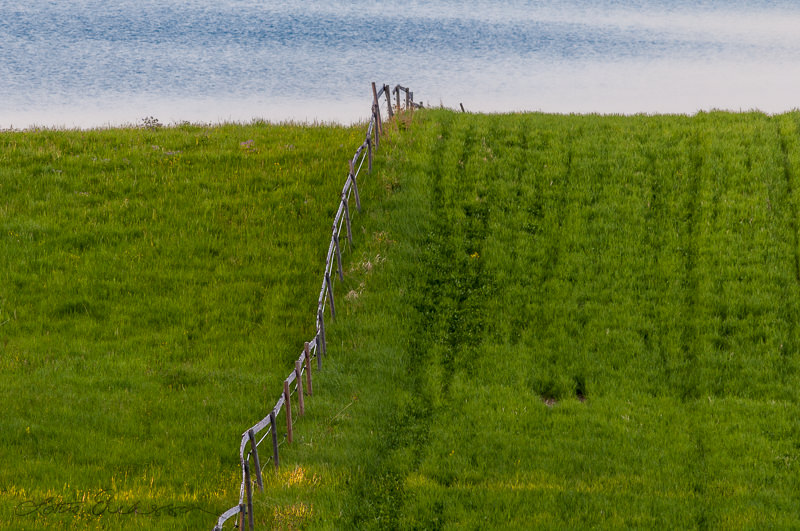 SE_Norrbotten_green_field_wooden_fence_divided_lake