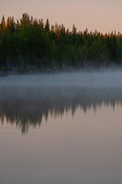 Se Lake Dawn Fog Forest Reflection
