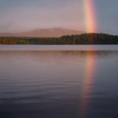 Se Lake Rainbow Reflection Tranquil Foggymountains Forest
