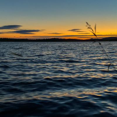 Se Lake Sunset Reeds Smallwaves