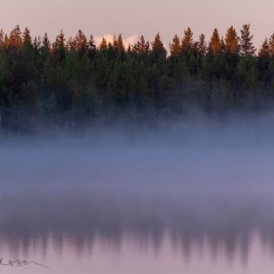 Se Norrbotten Dawn Lake Fog Forest Vague Reflections900