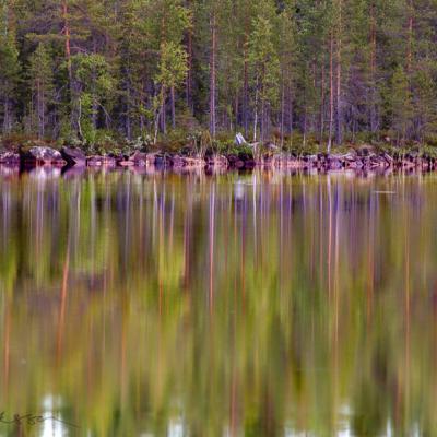 Se Norrbotten Lake Forest Reflections900