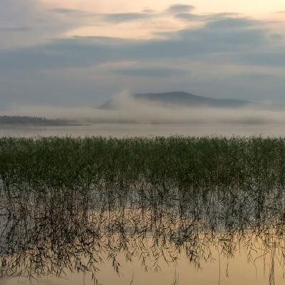 Se Norrbotten Lake Spring Reeds Reflections Fog Clouds Mountains Sky900