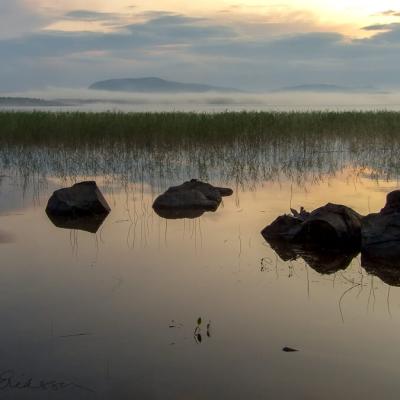 Se Norrbotten Lake Spring Sunset Reflections Fog Reeds Rocks900