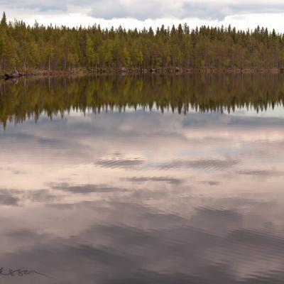Se Norrbotten Tranquil Lake Forest Clouds Reflections900