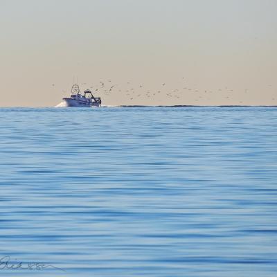Mediterranean Blue Fishingboat Birdtrail Horizon
