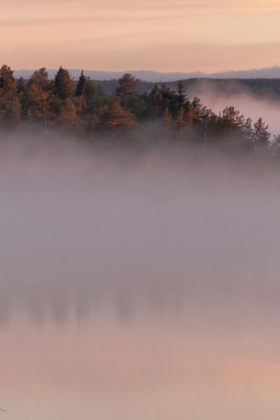 Se Norrbotten Dawn Fog Lake Forest Mountains Disappearing900