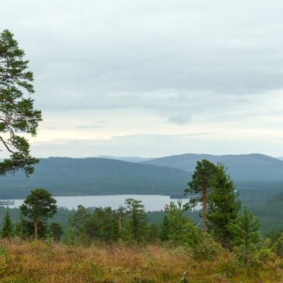 Se Norrbotten Forefround Pinetree Valley Lake Mountains Forests Overcast900
