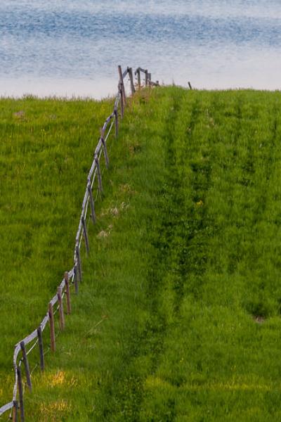 Se Norrbotten Green Field Wooden Fence Divided Lake