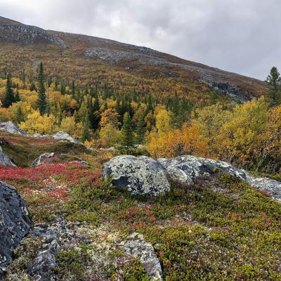 Se Sllsjfjllet Autumncolours Bare Mountain 