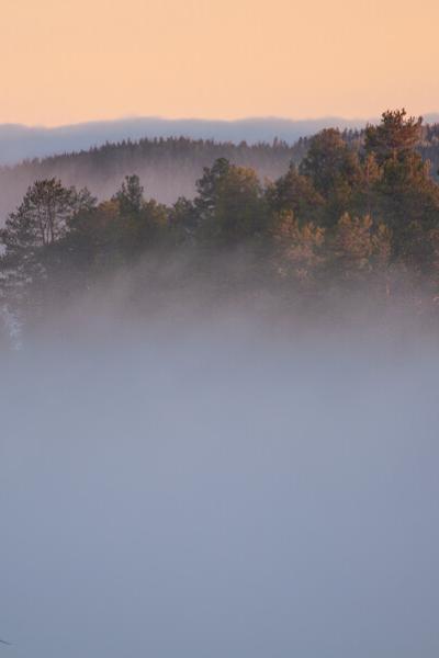 Se Norrbotten Dawn Mountains Fog Disappearing Forests900