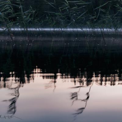 Lake Evening Reeds Reflections Background Fog Forest900