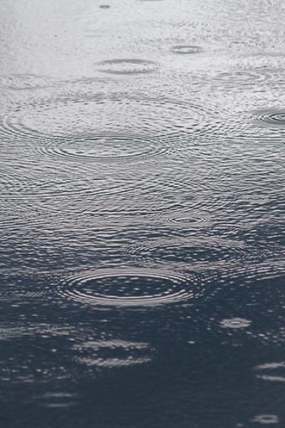 The Lake Ripples Raining Circles