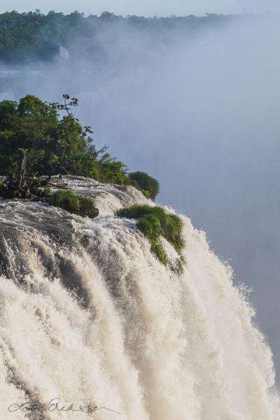 Br Foz Do Iguacu Waterfall Close Mist Shrubs 