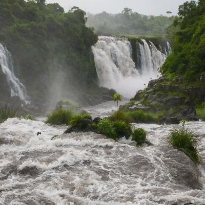 Br Foz Do Iguacu Waterfall Close Rapids Rainforest 