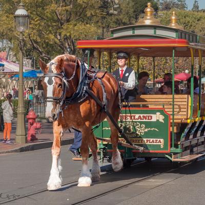 California Disneyland Working Horse Carriage900