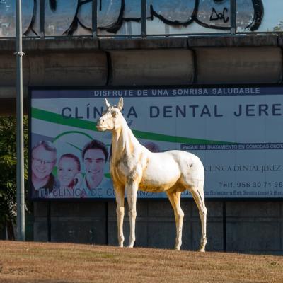 Spain Horse Statue White Background Ads Graffiti900