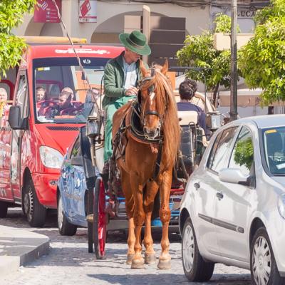 Spain Working Horse Carriage Cars900