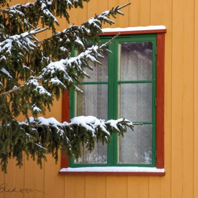 No Roros Yellow House Red Green Window Spruce900