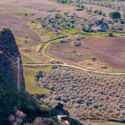 Es Farmhouse Fields Olive Grove From Above Mountainpeak900