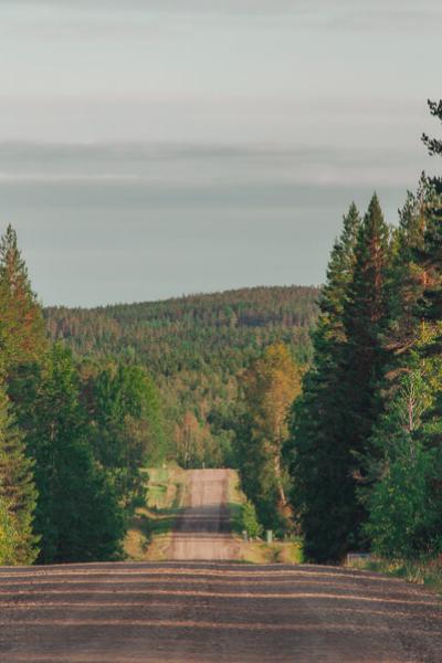 Se Vsterbotten Countryroad Coniferous Forests Mountain Summer900
