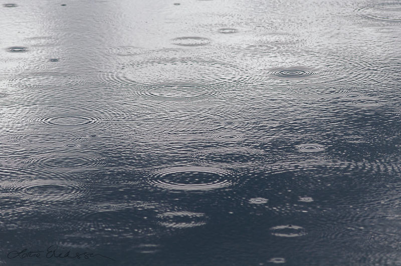 The_lake_ripples_raining_circles