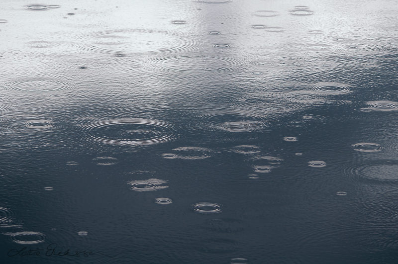 The_lake_ripples_raining_circles2