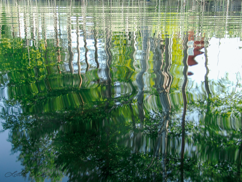 Watersurface_reflections_reeds_house_green_red