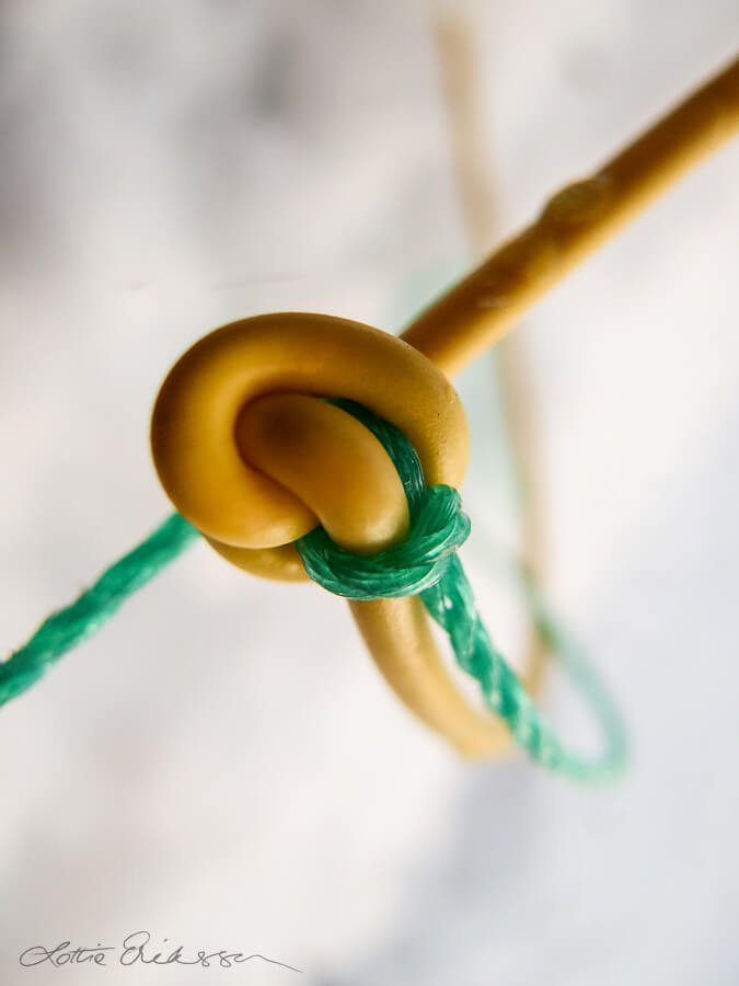 Tied_knotted_yellow_green_ropes900